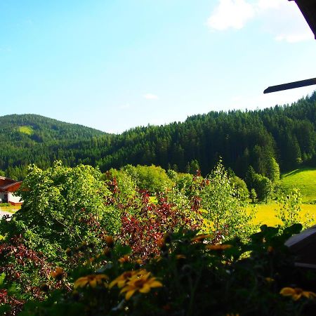 Appartment Kainhofer Sankt Martin am Tennengebirge Exteriér fotografie