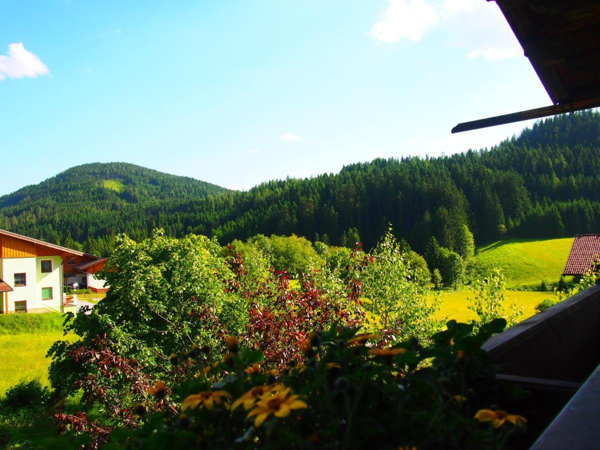 Appartment Kainhofer Sankt Martin am Tennengebirge Exteriér fotografie