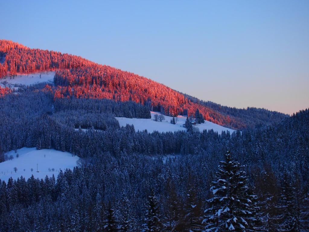 Appartment Kainhofer Sankt Martin am Tennengebirge Exteriér fotografie