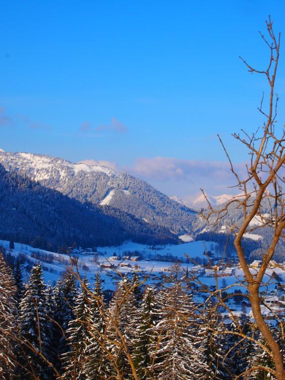 Appartment Kainhofer Sankt Martin am Tennengebirge Exteriér fotografie