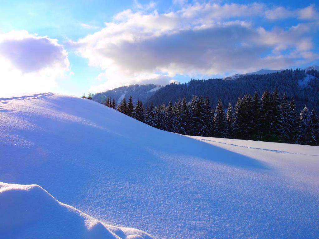 Appartment Kainhofer Sankt Martin am Tennengebirge Exteriér fotografie