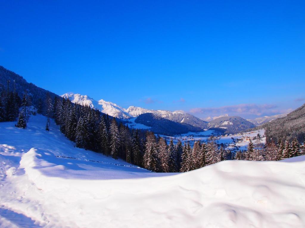 Appartment Kainhofer Sankt Martin am Tennengebirge Exteriér fotografie