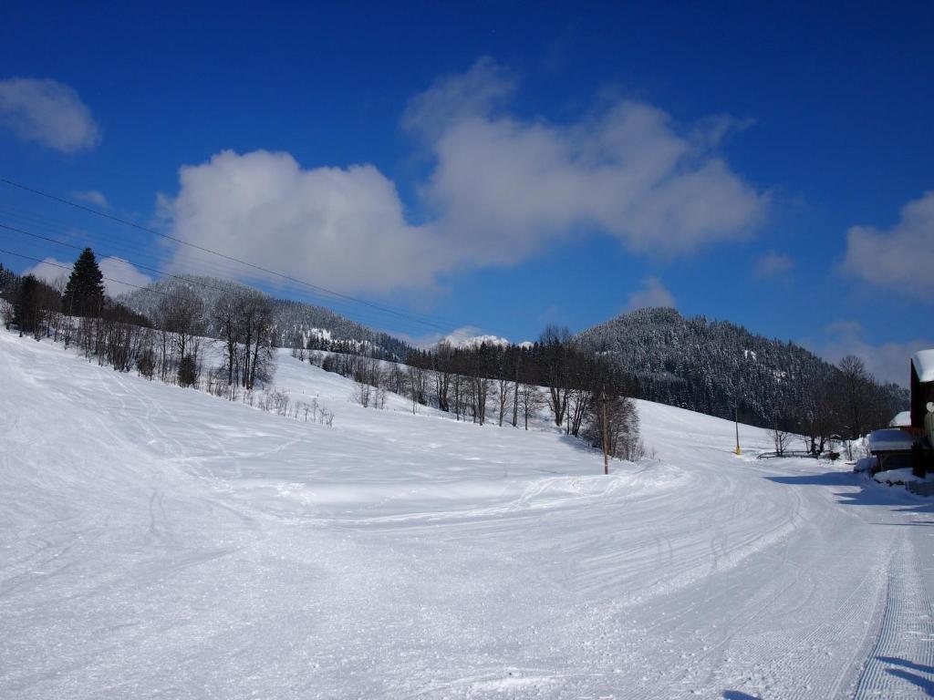 Appartment Kainhofer Sankt Martin am Tennengebirge Exteriér fotografie